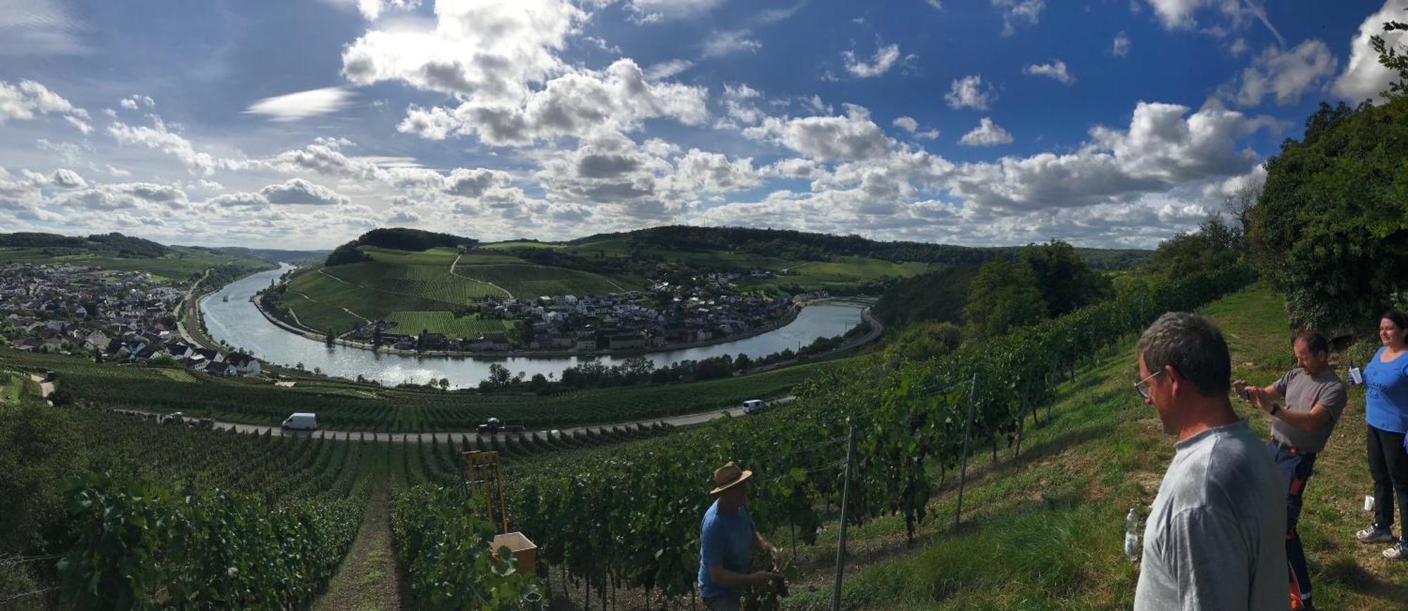 Gaestehaus Und Weingut Bernd Frieden 니텔 외부 사진