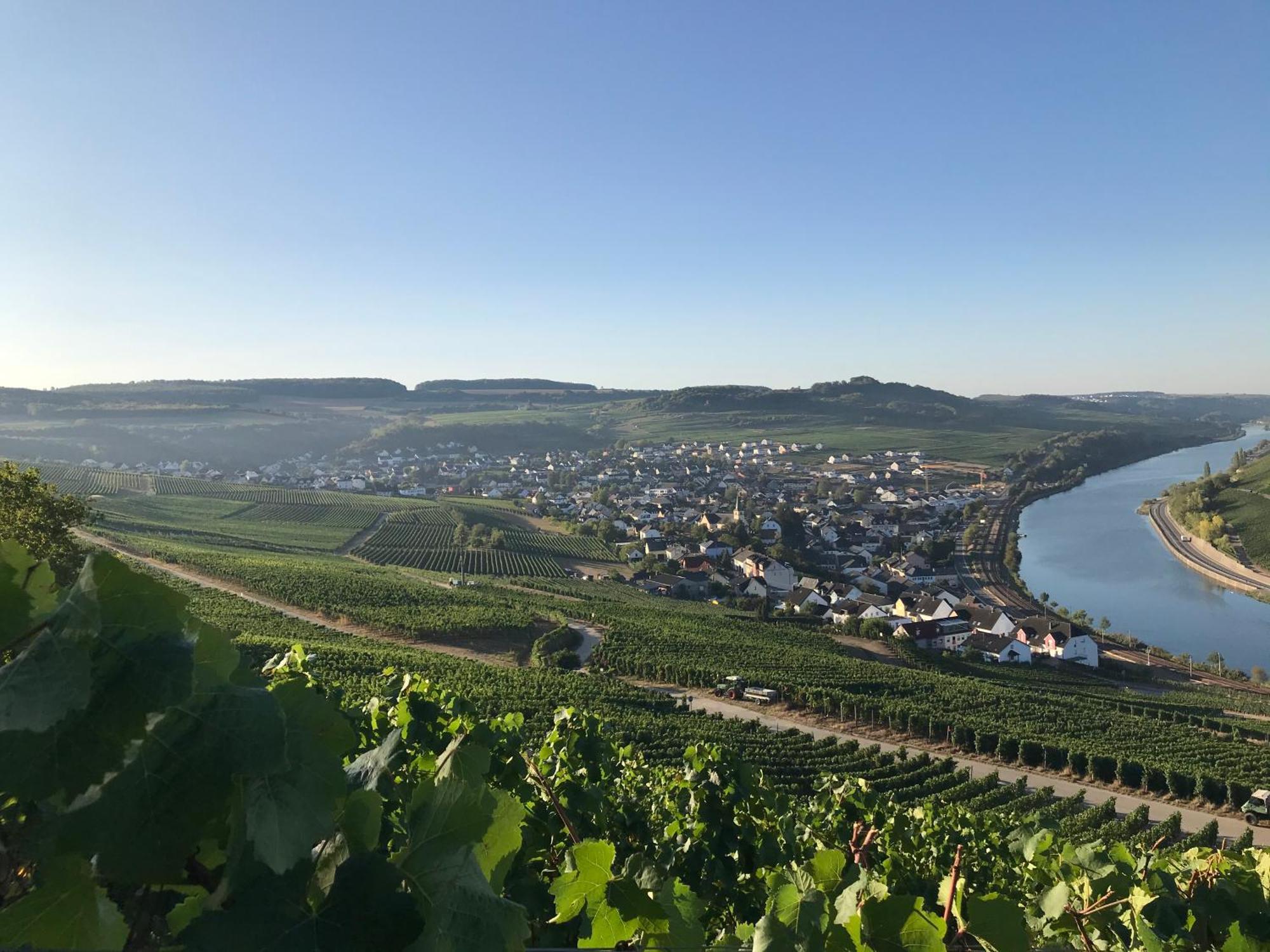 Gaestehaus Und Weingut Bernd Frieden 니텔 외부 사진